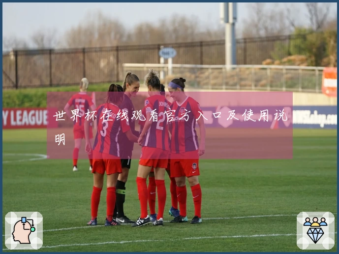 世界杯在线观看官方入口及使用说明