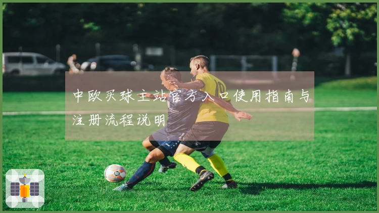 中欧买球主站官方入口使用指南与注册流程说明