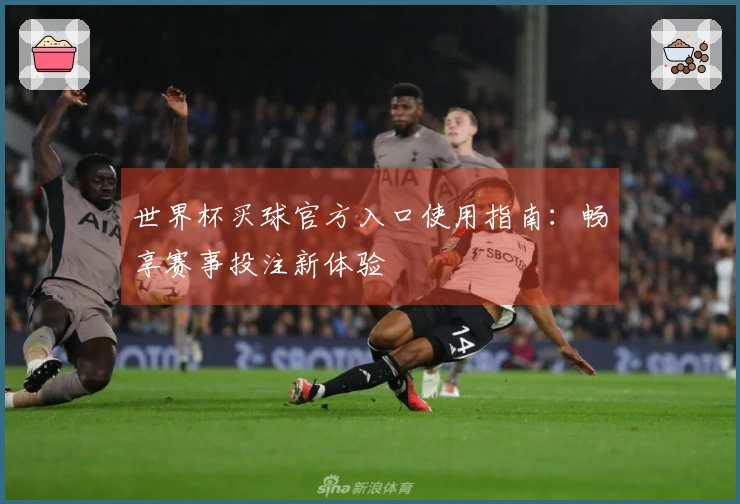 世界杯买球官方入口使用指南：畅享赛事投注新体验