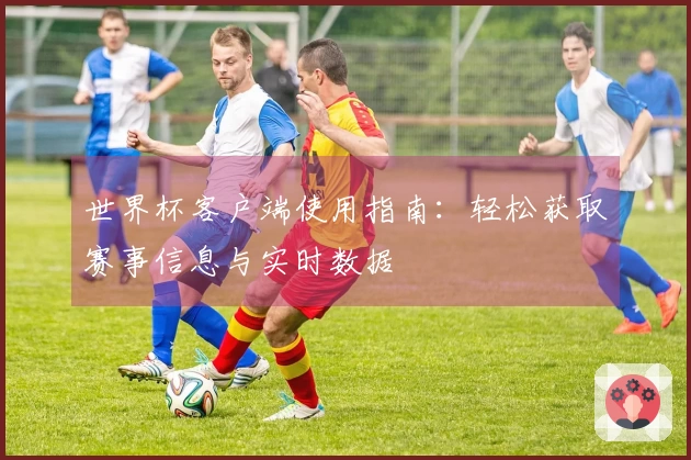 世界杯客户端使用指南：轻松获取赛事信息与实时数据