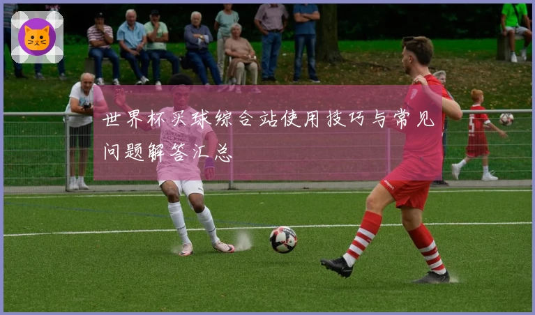 世界杯买球综合站使用技巧与常见问题解答汇总