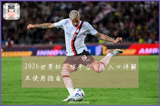 2026世界杯买球平台官方入口详解及使用指南