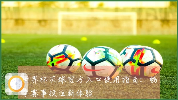 世界杯买球官方入口使用指南：畅享赛事投注新体验