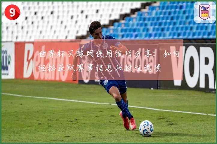 世界杯买球网使用技巧分享：如何轻松获取赛事信息和投注选项