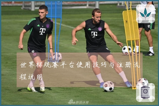 世界杯观赛平台使用技巧与注册流程说明