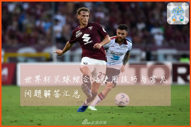 世界杯买球综合站使用技巧与常见问题解答汇总
