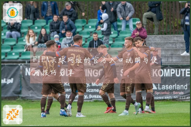 FIFA买球网址的官方入口说明与使用技巧分享