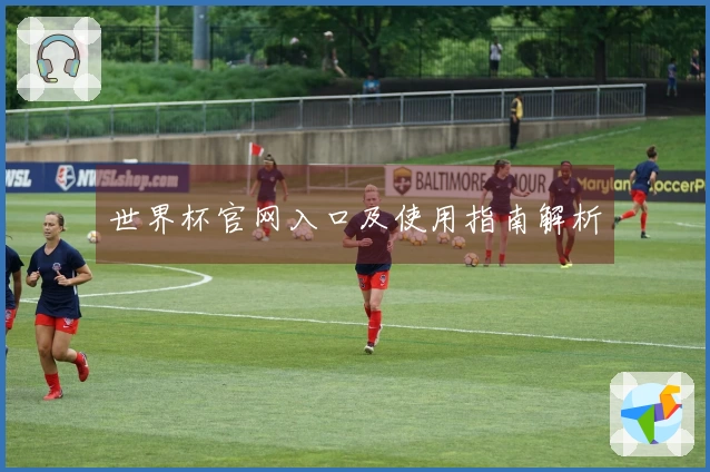 世界杯官网入口及使用指南解析