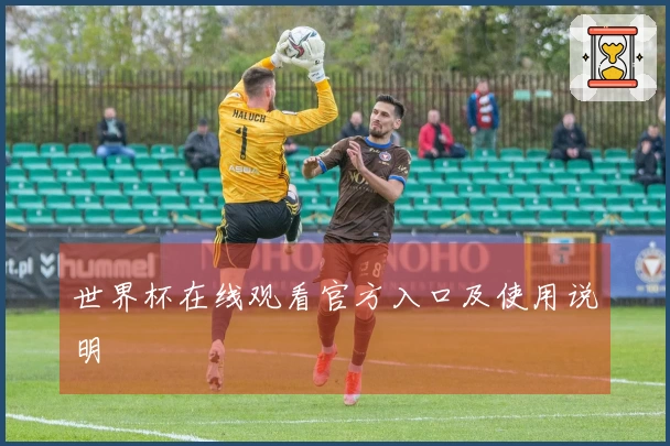 世界杯在线观看官方入口及使用说明