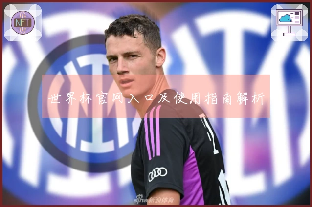 世界杯官网入口及使用指南解析