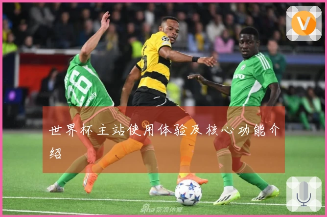 世界杯主站使用体验及核心功能介绍